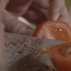 Chef is cutting a tomato