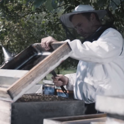 Beekeeper Opening His Beehive-12